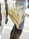 leathers_right_butt1.jpg (44526 bytes)